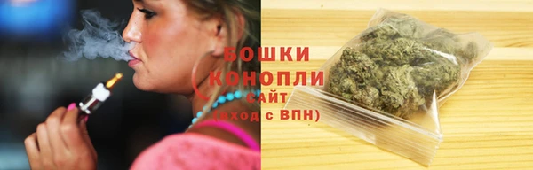 шишки Богородицк