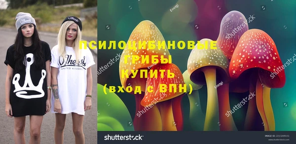 шишки Богородицк