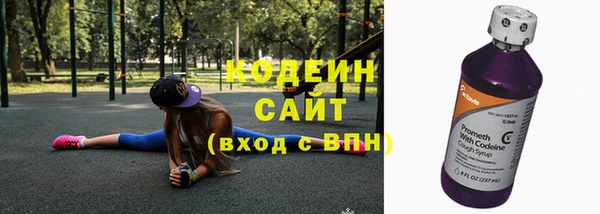 шишки Богородицк